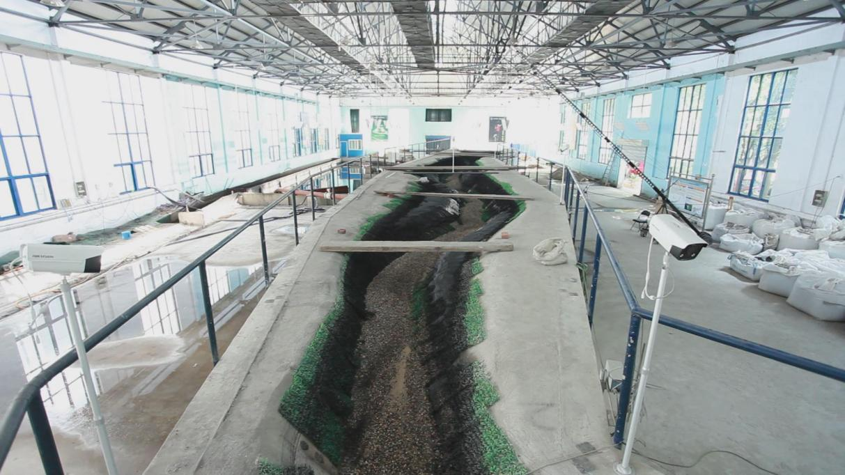 图片81.png 图片81.png